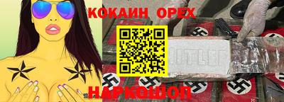 прущие грибы Новозыбков