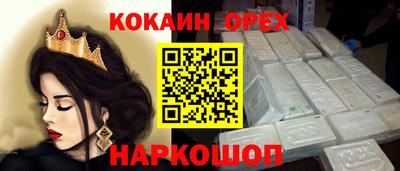 прущие грибы Новозыбков