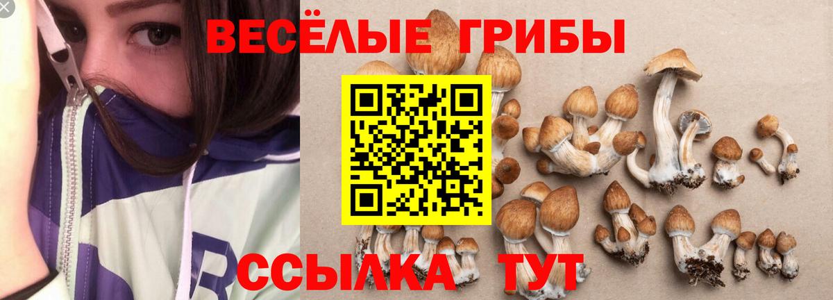 Галлюциногенные грибы GOLDEN TEACHER  Вход с VPN  Старая Купавна 